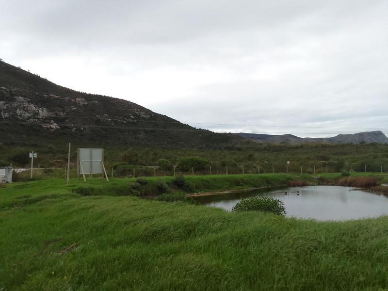 0 Bedroom Property for Sale in Franskraal Western Cape